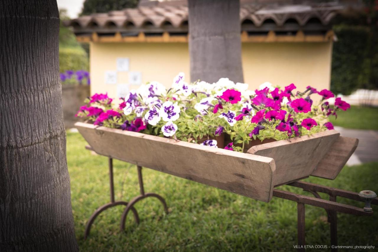 Casa Vacanze Etna Cocus Santa Venerina Luaran gambar